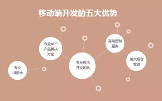 直擊軟件外包痛點(diǎn)，中科天基成就卓越服務(wù)